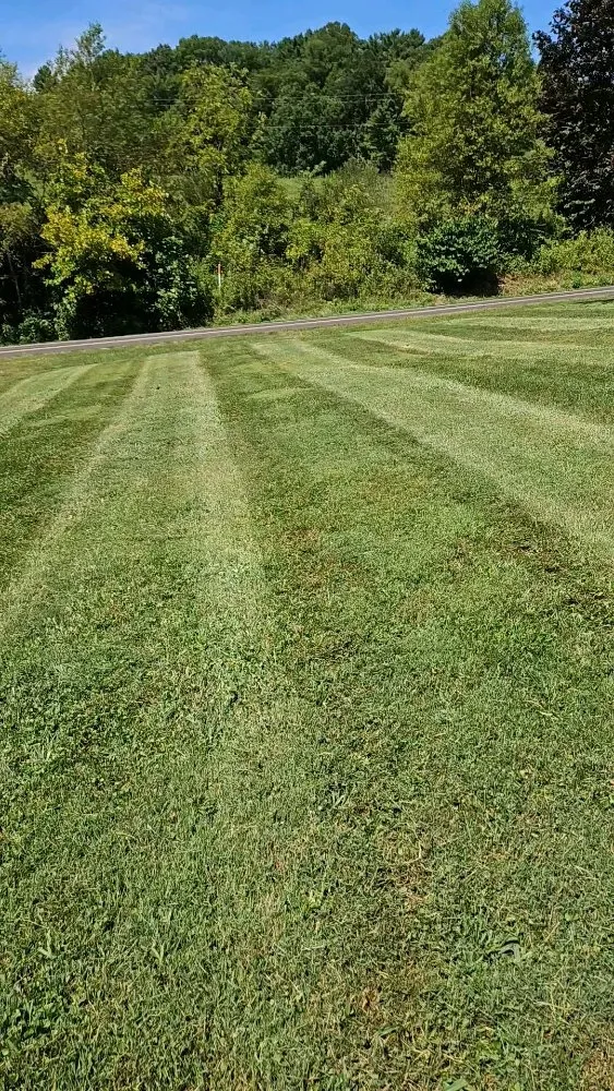 Top-rated yard cleanup service in Kingsport, TN by Widener Lawn Care