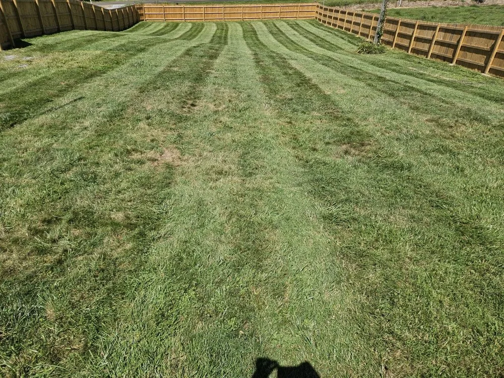 Professional lawn mowing service for year-round maintenance across Kingsport, TN - Widener Lawn Care
