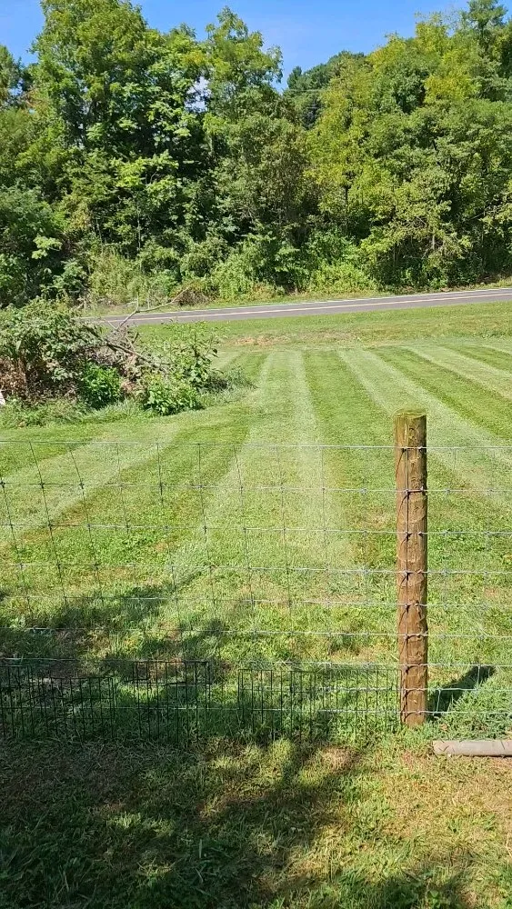 Trusted lawn mowing service in Kingsport, TN by Widener Lawn Care