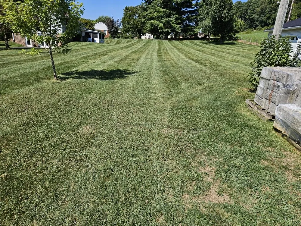 Top-rated residential landscaping near you in Kingsport, TN by Widener Lawn Care