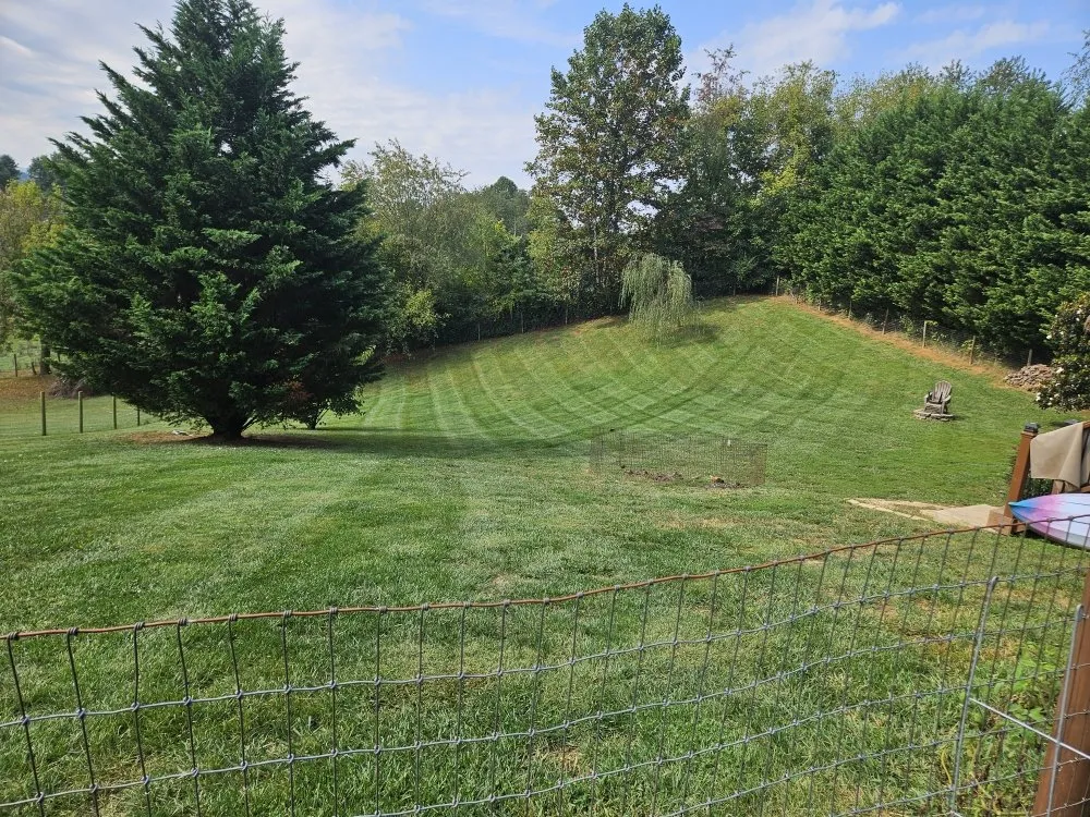 Professional landscape installation in Kingsport, TN by Widener Lawn Care