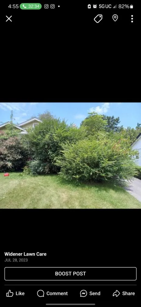 Expert yard maintenance in Kingsport, TN by Widener Lawn Care