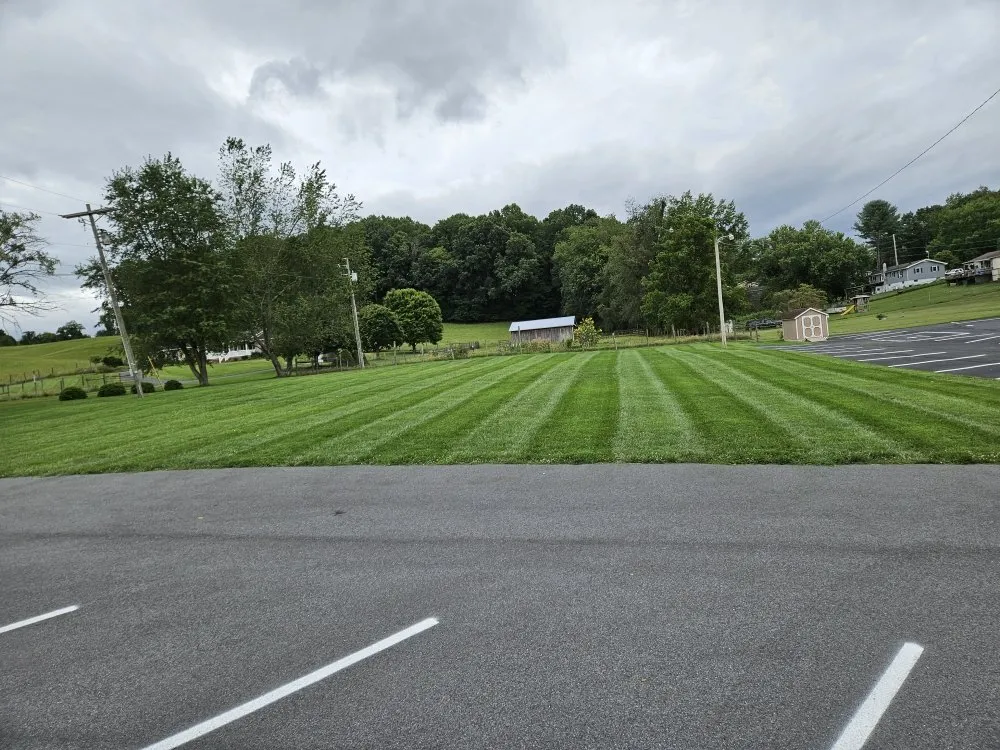 Expert yard cleanup service in Kingsport, TN by Widener Lawn Care