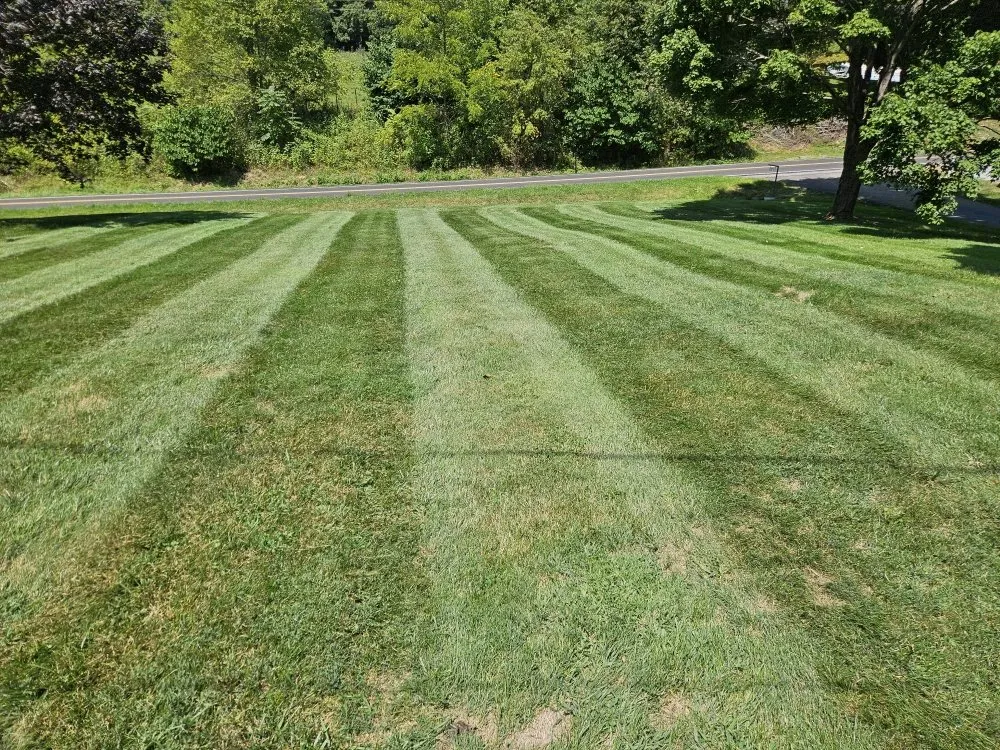 Custom outdoor landscaping in Kingsport, TN by Widener Lawn Care