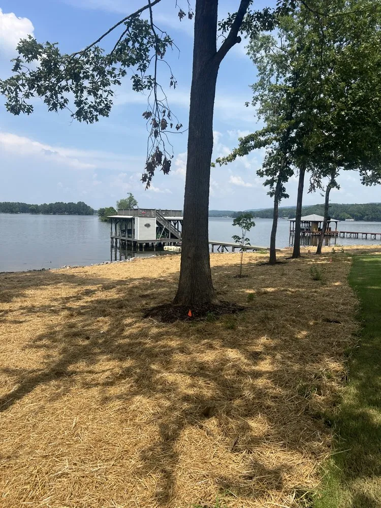 Local yard maintenance experts serving Scottsboro, AL - Widgeon Land Management