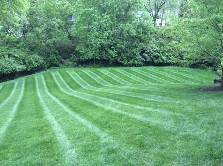 Trusted outdoor landscaping in Dubuque, IA by Widmeier Lawn Care