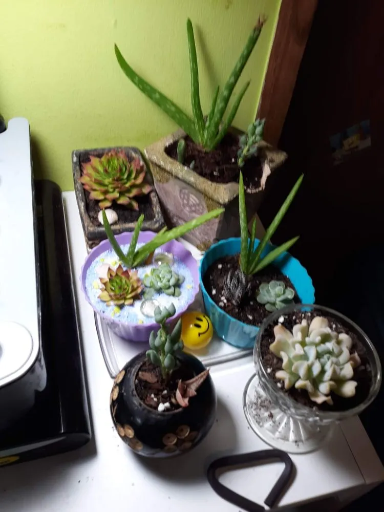 Trusted garden landscaping for year-round maintenance across Haw River, NC - Wieland's Landscape Design and Maintenance