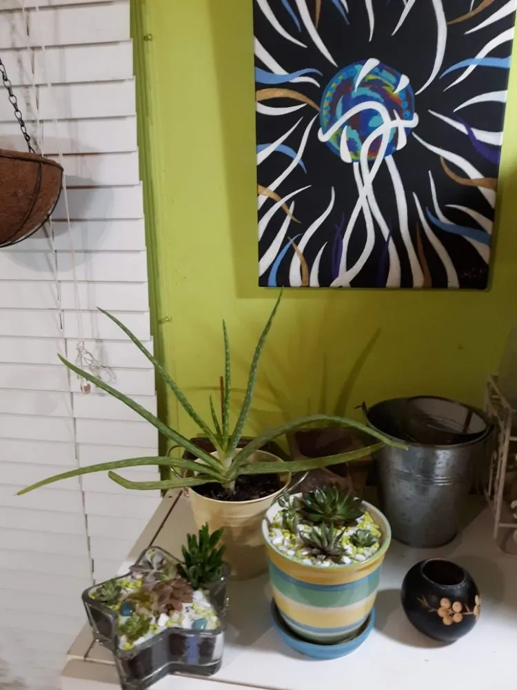 Expert landscape installation experts serving Haw River, NC - Wieland's Landscape Design and Maintenance