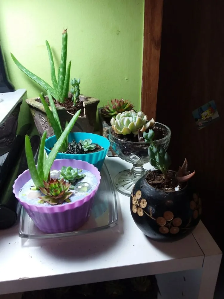 Affordable garden landscaping experts serving Haw River, NC - Wieland's Landscape Design and Maintenance