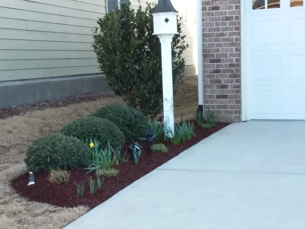 Local yard cleanup service in Haw River, NC by Wieland's Landscape Design and Maintenance