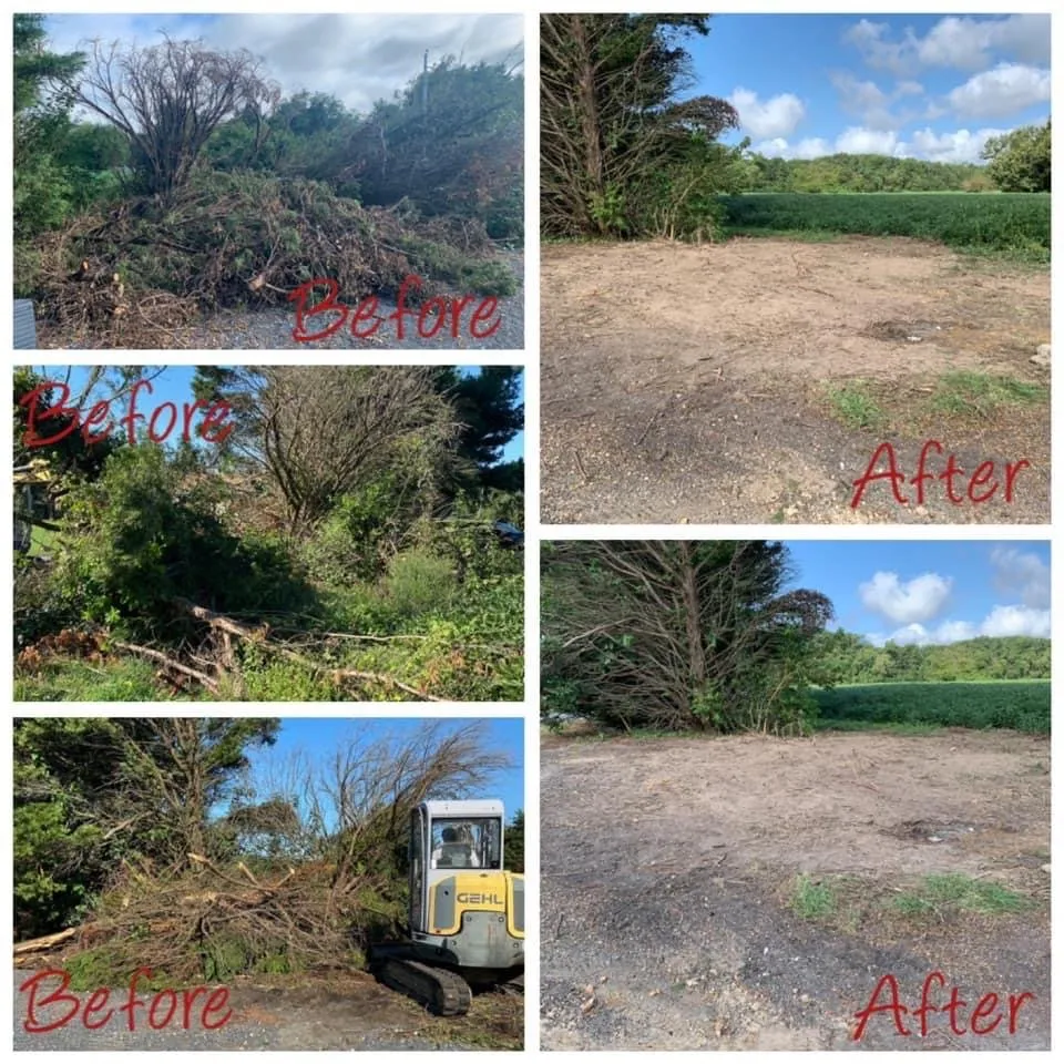 Custom yard cleanup service for beautiful yards across East New Market, MD - Wielgosz Property Management