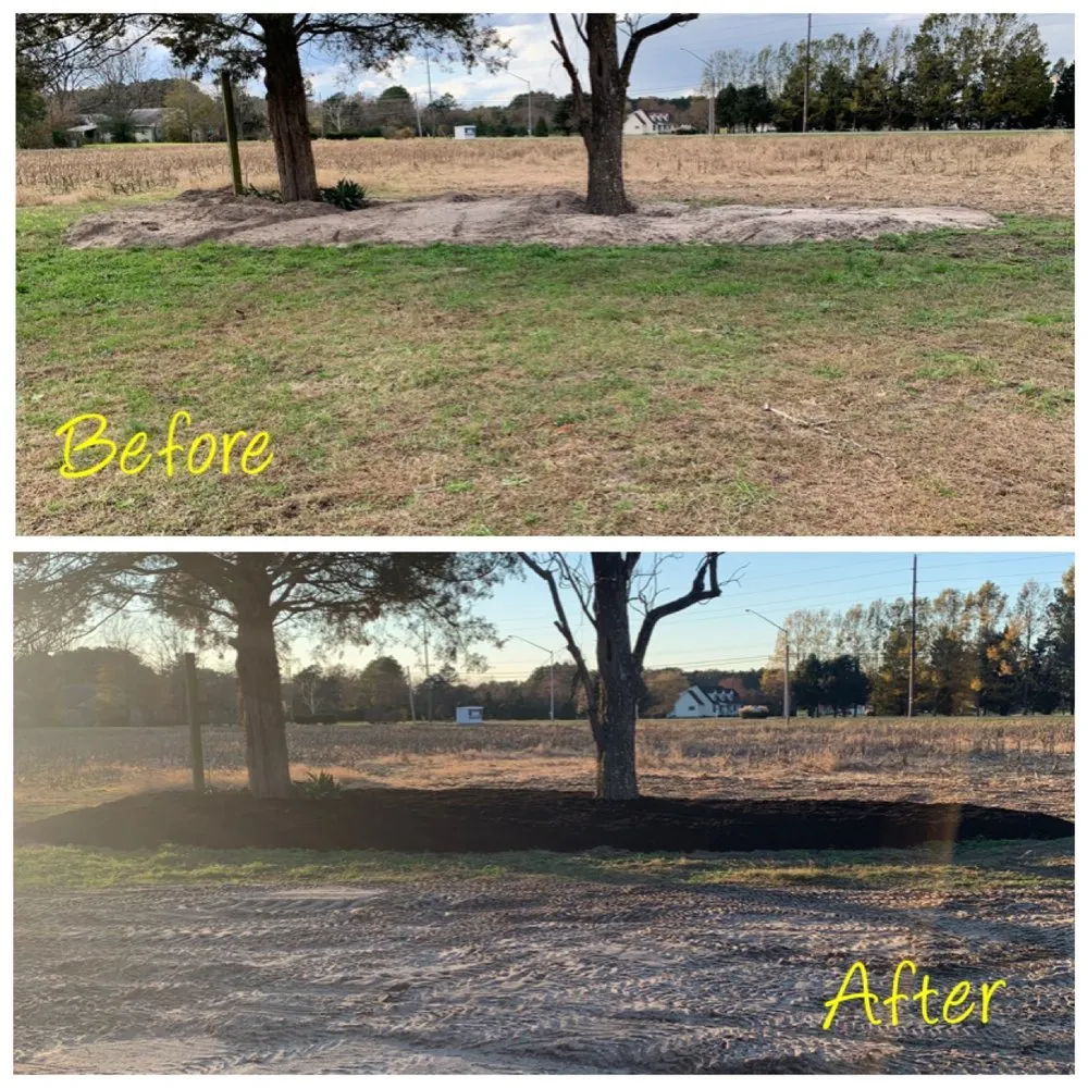 Expert landscape installation in East New Market, MD - Wielgosz Property Management