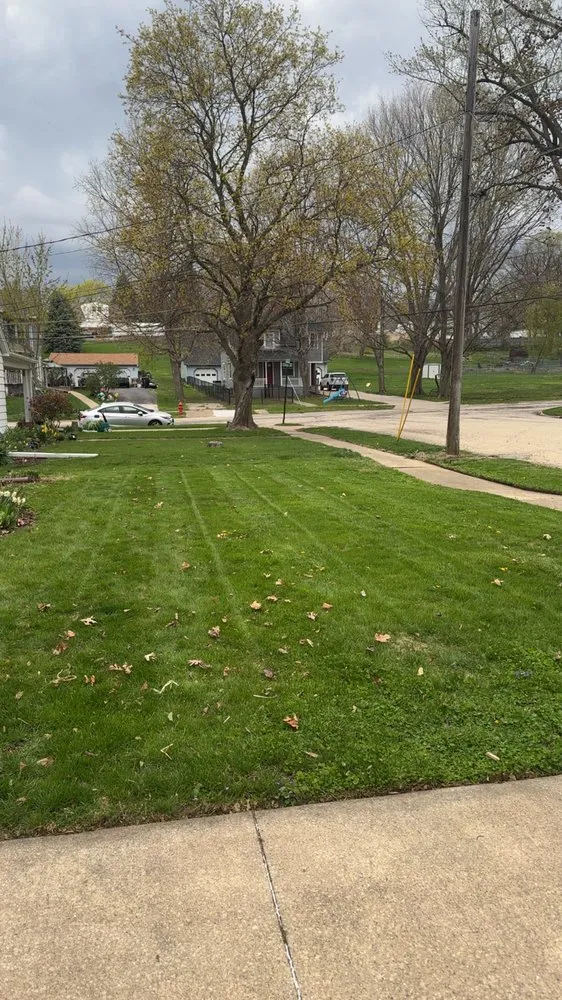 Trusted lawn mowing service in Morrison, IL - Wiersema Lawn Care