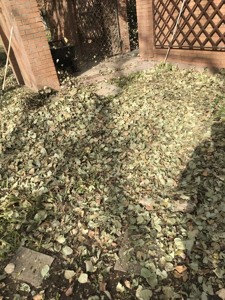 Reliable garden landscaping in Amarillo, TX by Wiggins Lawn and Tree Care