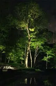 Custom landscape installation for outdoor upgrades in Lexington, MA by WikWorks