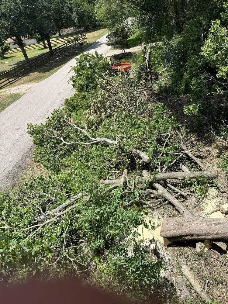 Custom landscape design near you across Splendora, TX - Wil Landscaping