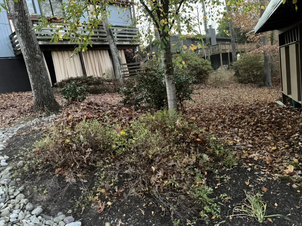 Reliable yard maintenance for homes in Dale City, VA by Wilber Landscape