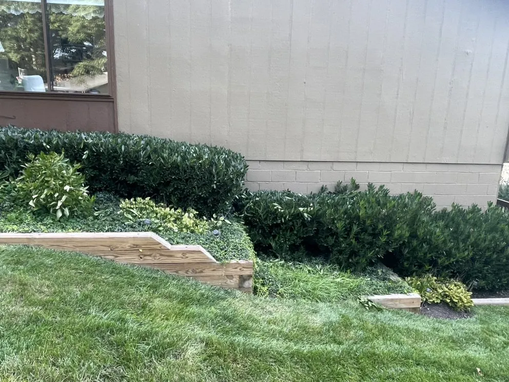 Local garden landscaping experts serving Dale City, VA - Wilber Landscape