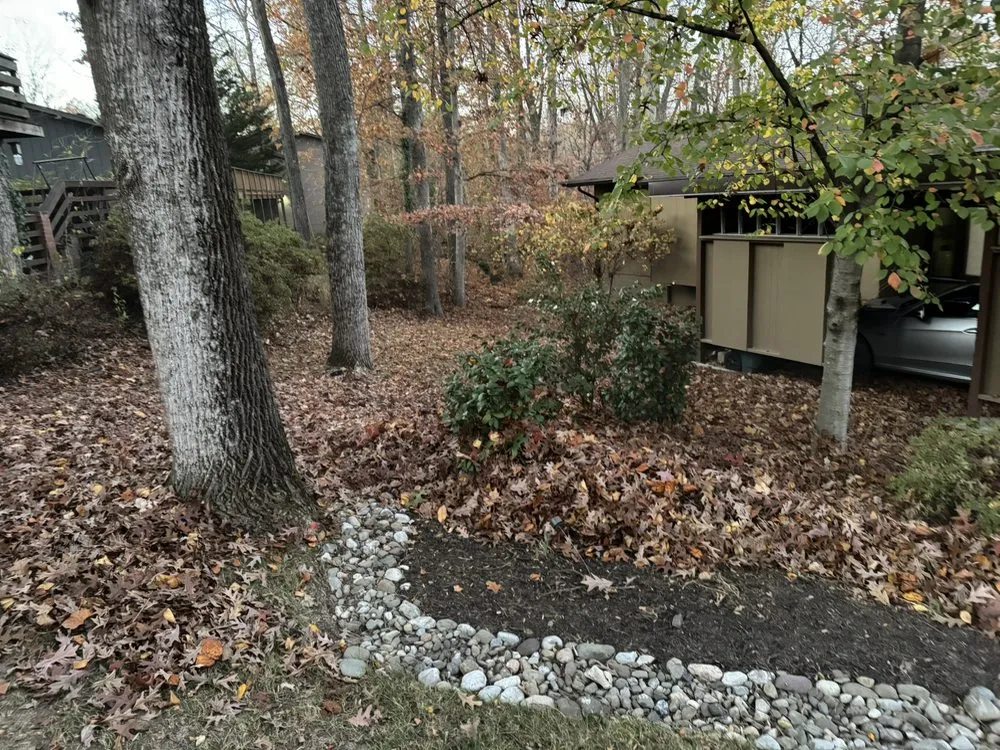 Affordable lawn care service for year-round maintenance across Dale City, VA - Wilber Landscape