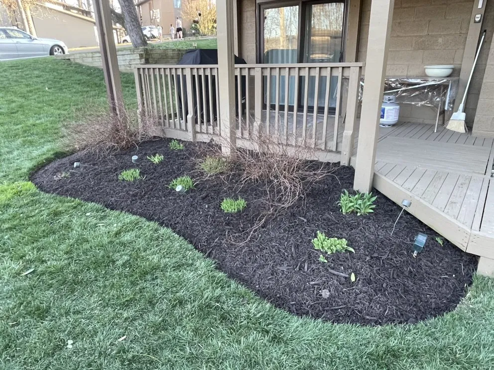 Custom landscape installation for beautiful yards across Dale City, VA - Wilber Landscape