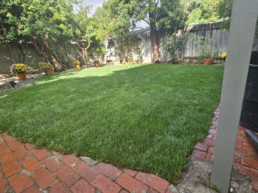 Expert residential landscaping in Los Angeles, CA - Wilber's Landscaping & Maintenance