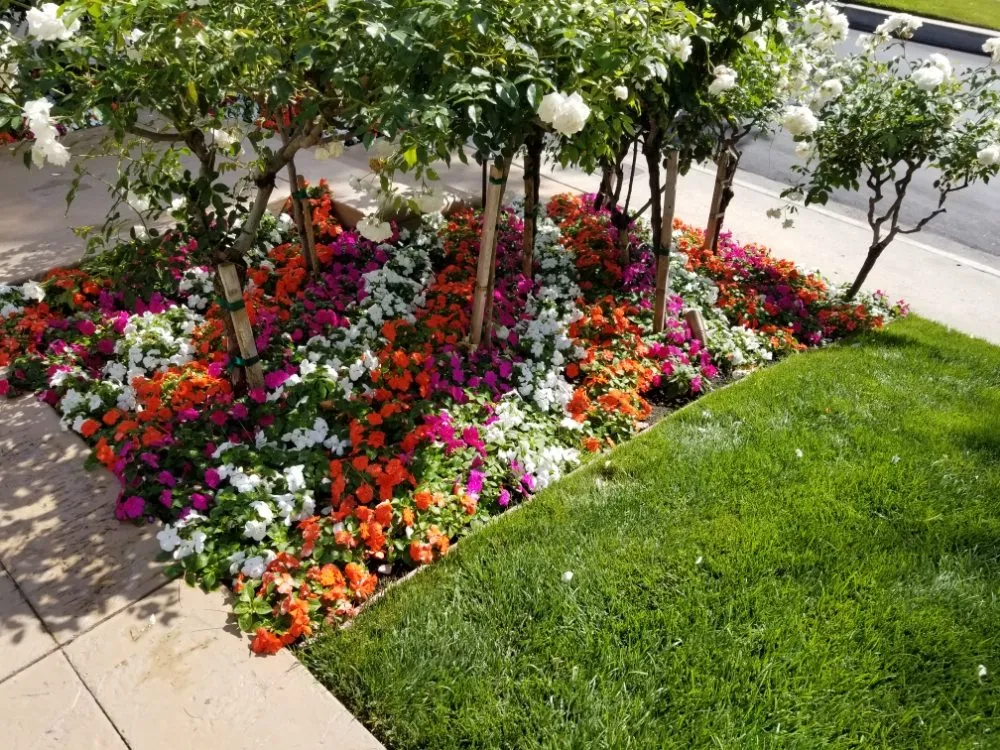 Trusted outdoor landscaping in Tujunga, CA - Wilber's Landscaping & Mantenance