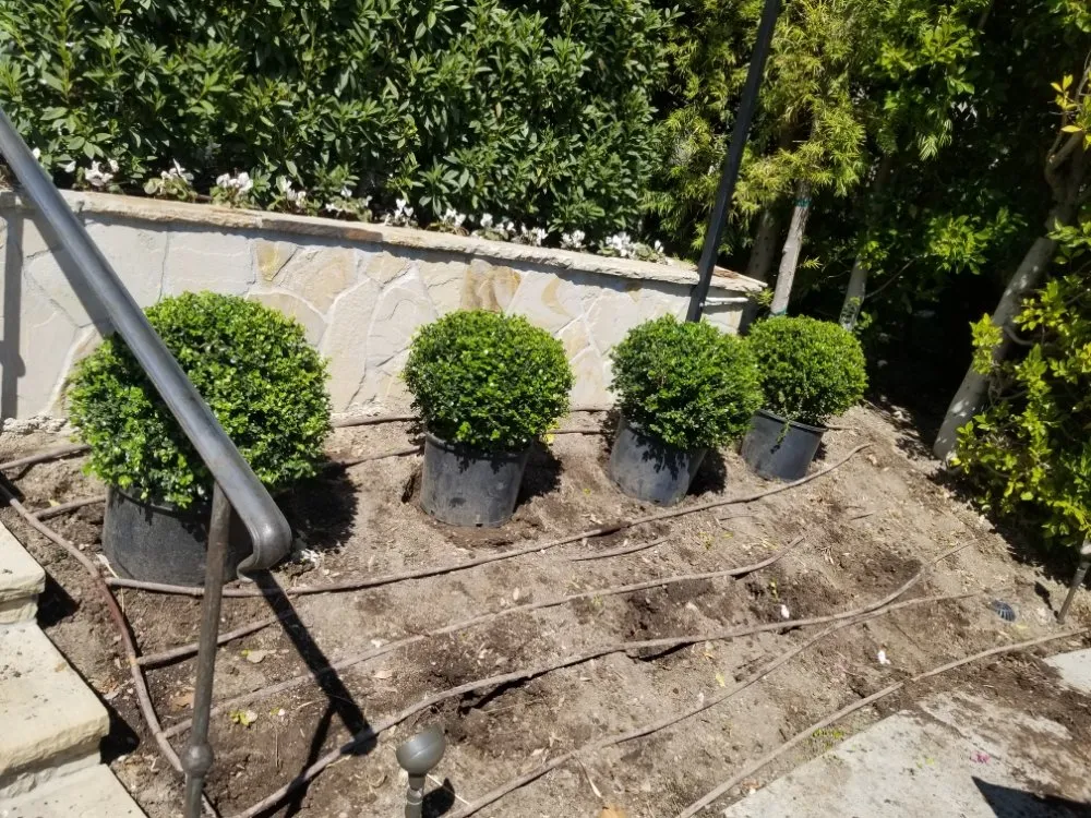 Professional landscape design in Tujunga, CA - Wilber's Landscaping & Mantenance