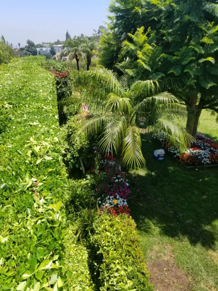 Trusted outdoor landscaping for homes across Tujunga, CA - Wilber's Landscaping & Mantenance