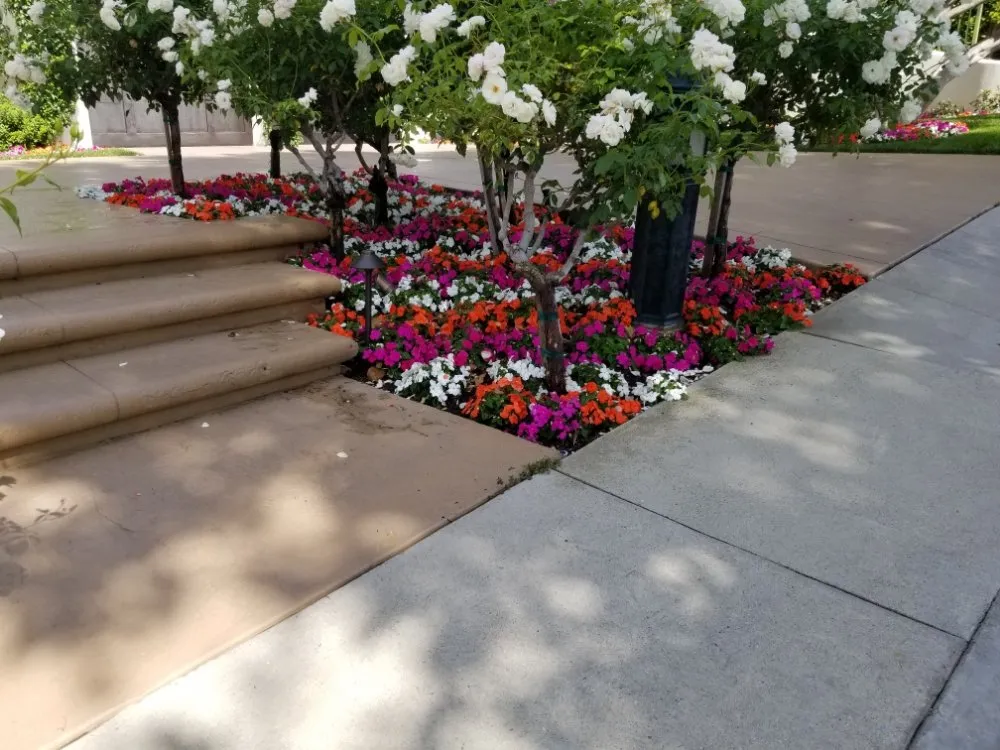 Expert landscape installation for year-round maintenance across Tujunga, CA - Wilber's Landscaping & Mantenance