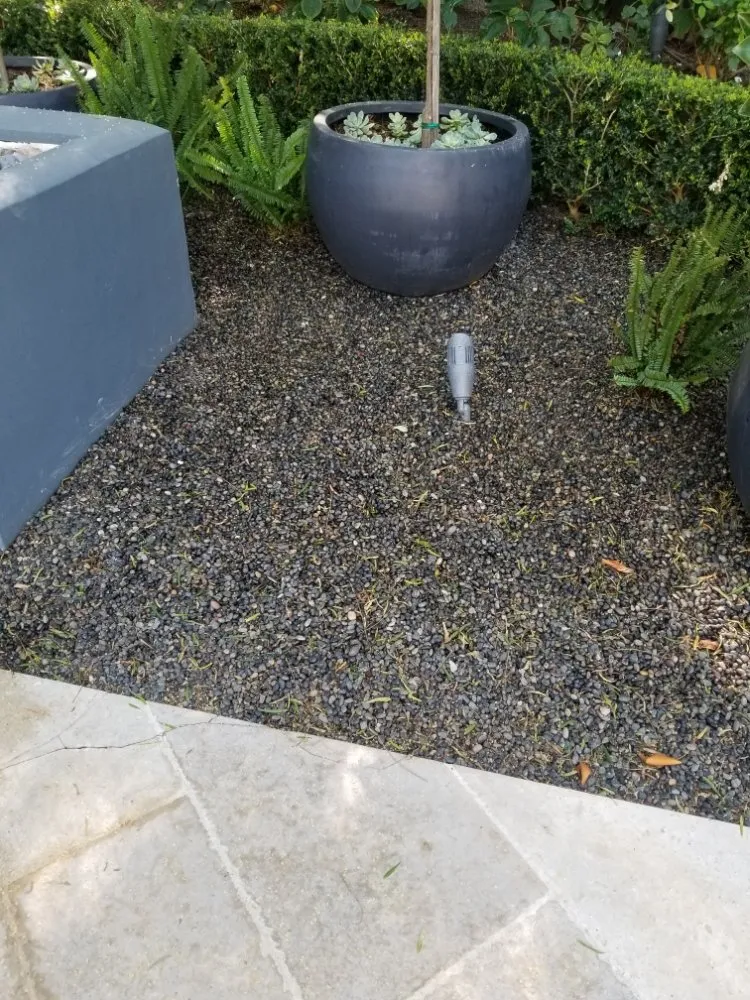 Top-rated lawn mowing service in Tujunga, CA by Wilber's Landscaping & Mantenance