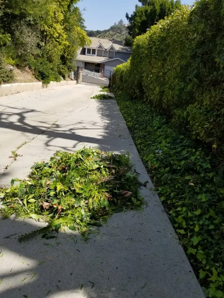 Reliable garden landscaping with custom design in Tujunga, CA by Wilber's Landscaping & Mantenance