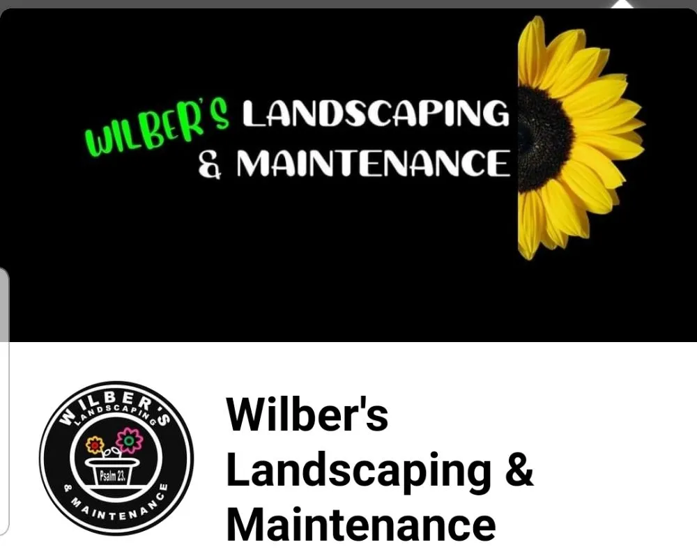 Professional lawn care service for outdoor upgrades across Tujunga, CA - Wilber's Landscaping & Mantenance