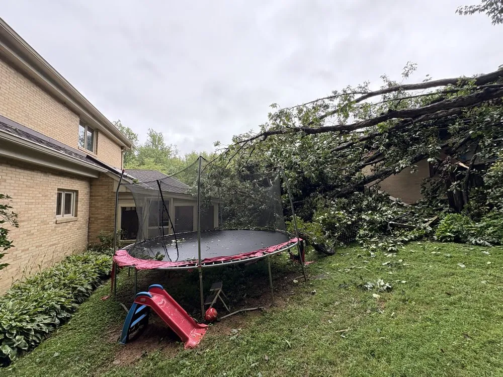 Expert yard cleanup service in Gaithersburg, MD by Wilbers Landscaping