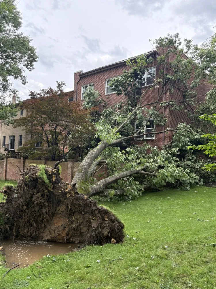 Top-rated lawn care service in Gaithersburg, MD - Wilbers Landscaping