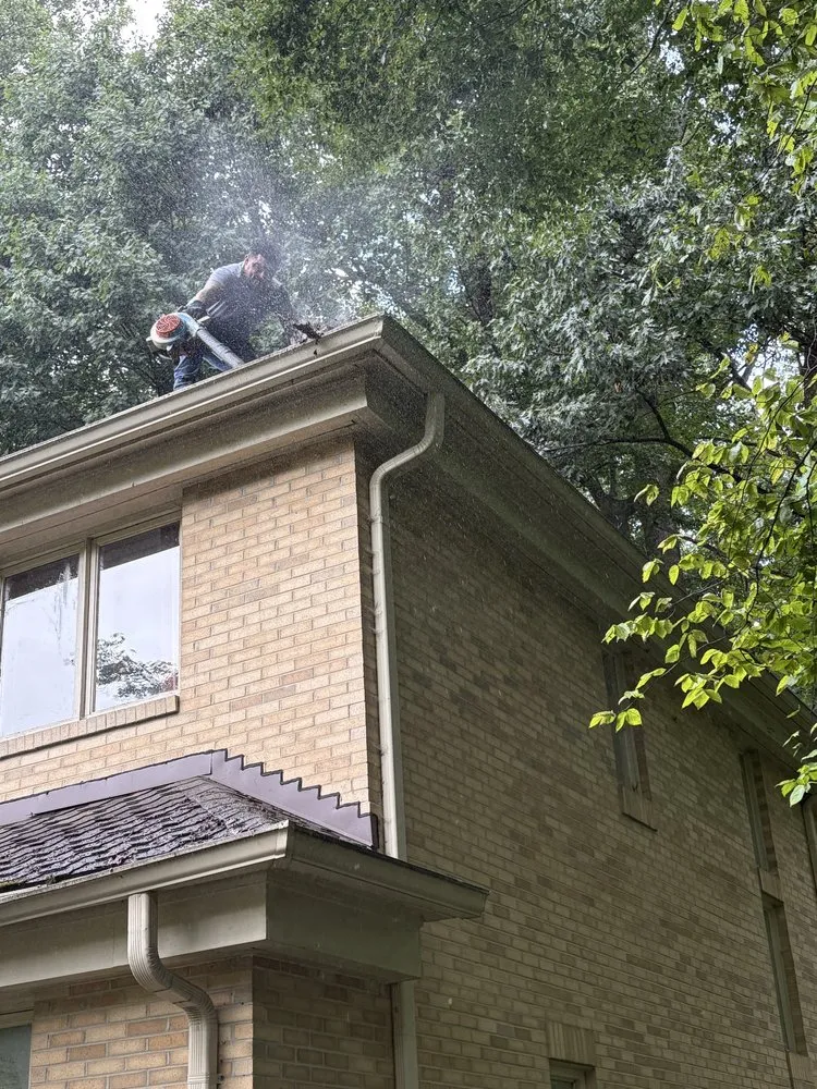 Affordable yard cleanup service experts serving Gaithersburg, MD - Wilbers Landscaping