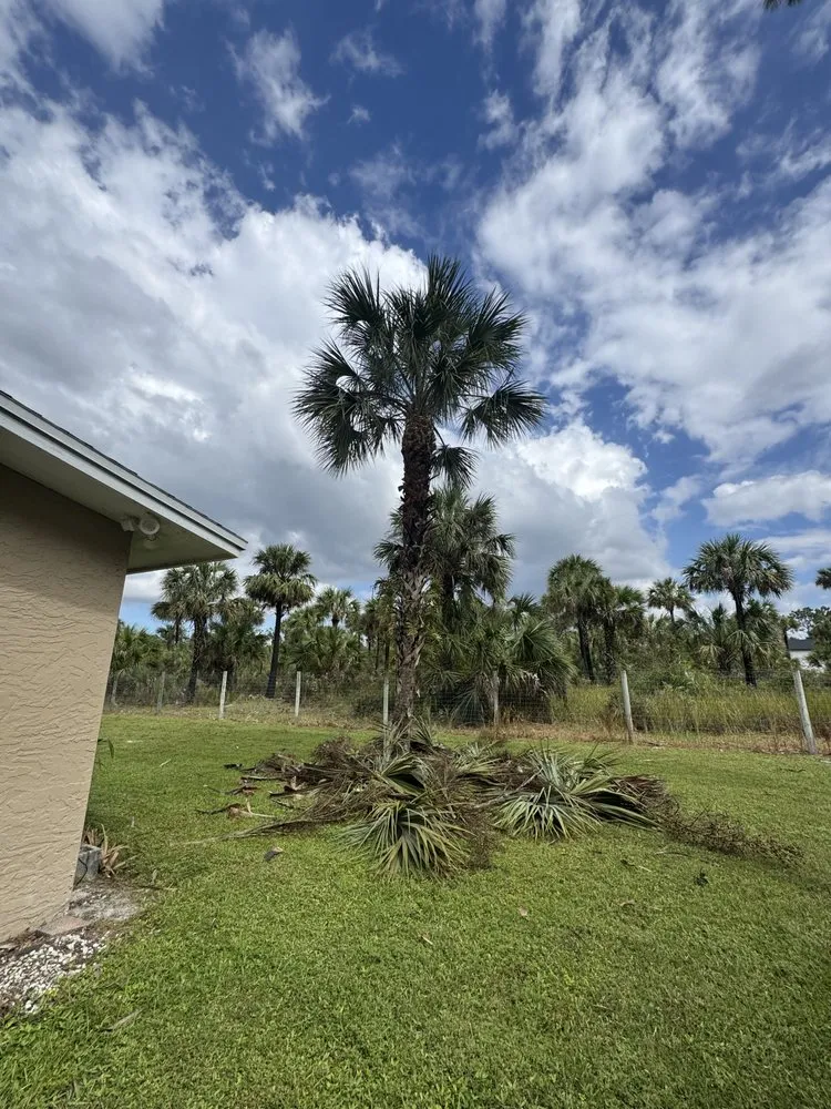 Expert lawn mowing service for residential properties across Naples, FL - Wilbur Lawn Maintenance