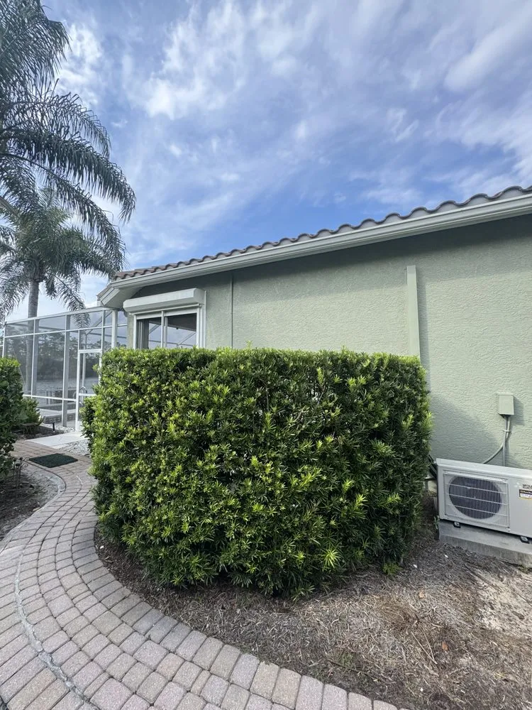 Reliable yard cleanup service in Naples, FL - Wilbur Lawn Maintenance