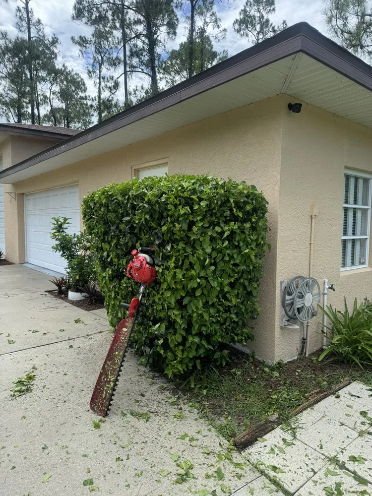 Custom landscape design in Naples, FL by Wilbur Lawn Maintenance