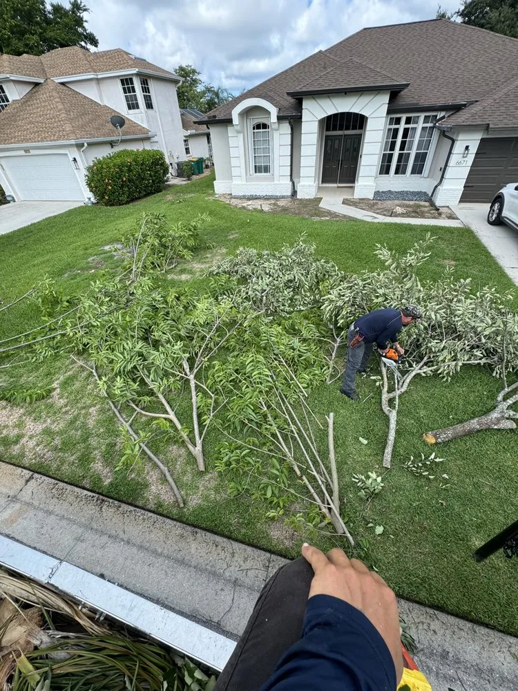 Custom residential landscaping in Naples, FL by Wilbur Lawn Maintenance