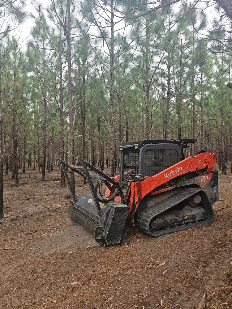 Professional residential landscaping in Millen, GA by Wilco Construction and Land Management