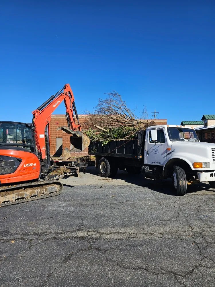 Expert landscaping services in Millen, GA - Wilco Construction and Land Management