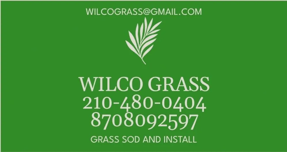 Professional yard cleanup service in Hoxie, AR - WilCo Grass