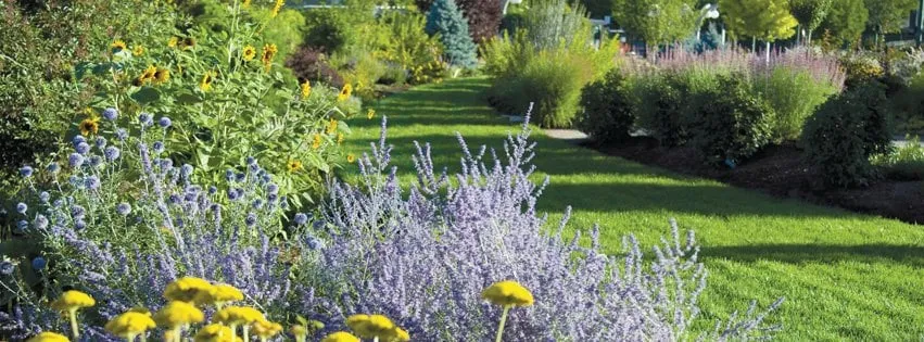 Expert lawn care service experts serving Rock Hill, SC - Wilcox Bros