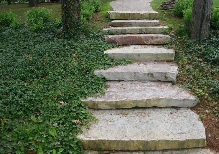 Affordable yard cleanup service in Clarklake, MI by Wilcox Lawn & Landscaping