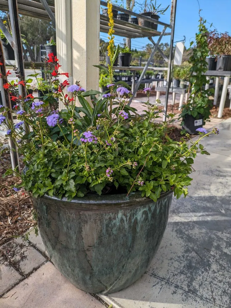 Top-rated landscaping services in Largo, FL - Wilcox Nursery and Landscape