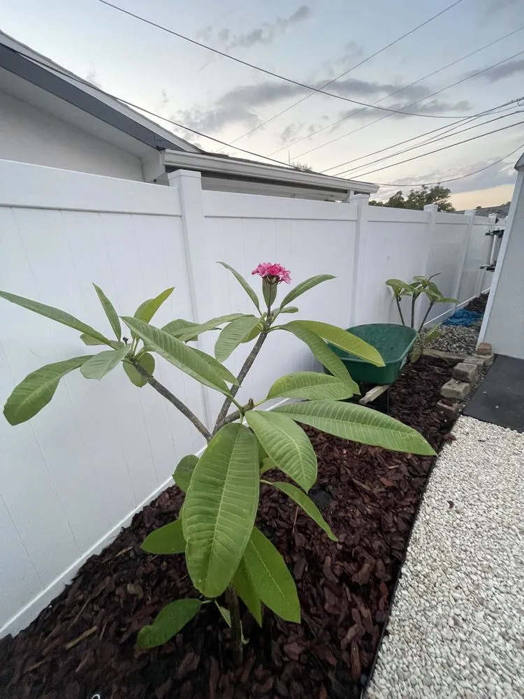 Affordable landscaping services in Largo, FL - Wilcox Nursery and Landscape