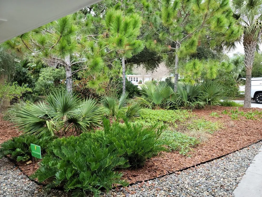 Trusted residential landscaping with custom design across Largo, FL - Wilcox Nursery and Landscape