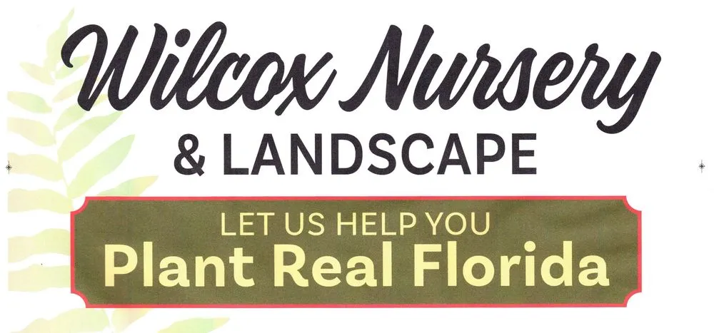 Reliable yard cleanup service for outdoor upgrades across Largo, FL - Wilcox Nursery and Landscape