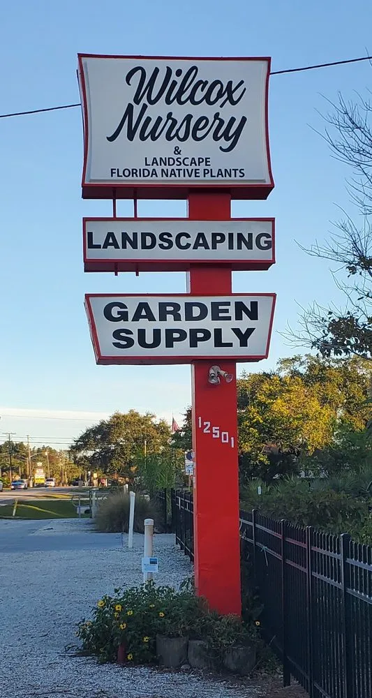 Top-rated yard maintenance for outdoor upgrades across Largo, FL - Wilcox Nursery and Landscape