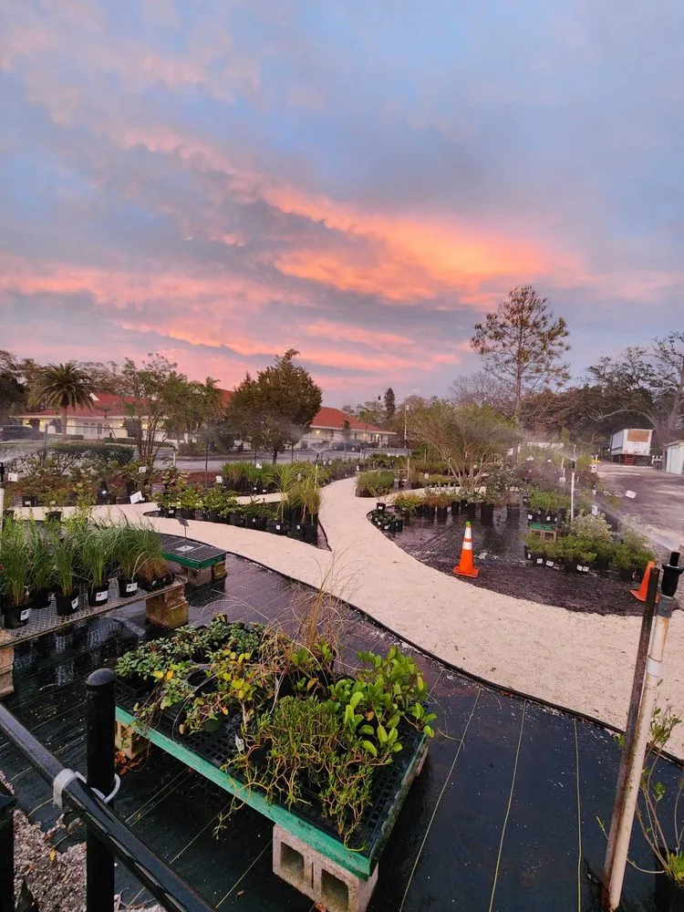 Affordable landscaping services for outdoor upgrades in Largo, FL by Wilcox Nursery and Landscape